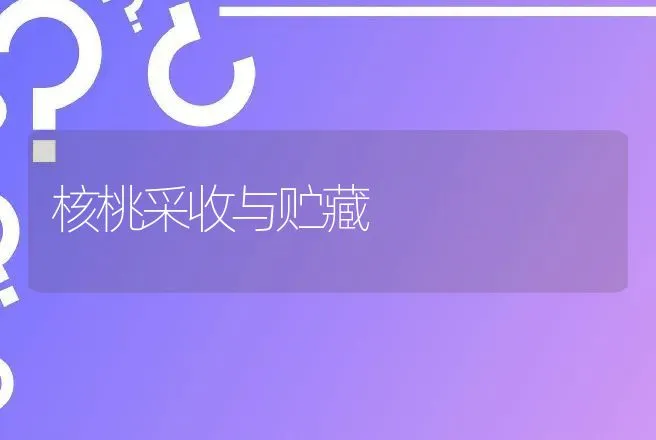 猪夏季中暑症的防治 | 动物养殖