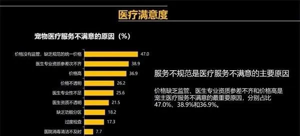 我国至今二十余年宠物行业的发展，渐渐发生了量与质的变化 | 宠物行业洞察