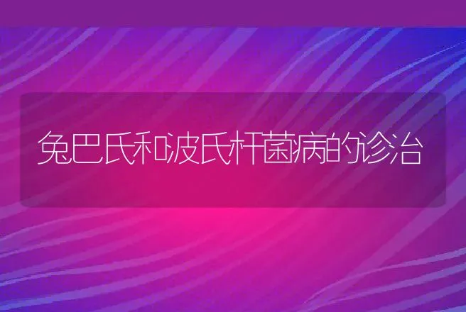 兔巴氏和波氏杆菌病的诊治 | 动物养殖