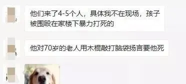 母女被四恶犬围攻，母亲被咬失血至休克 | 宠物新闻资讯