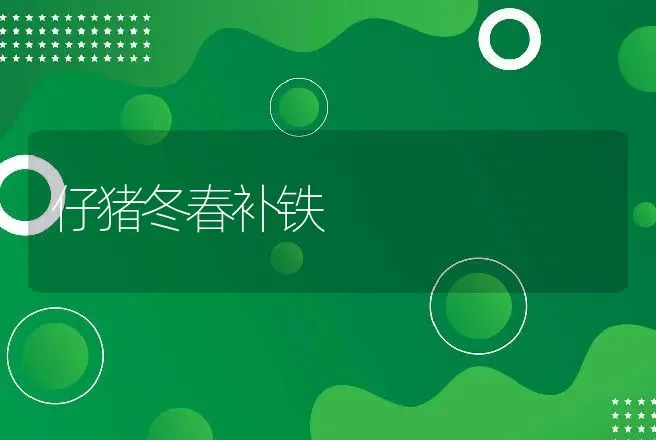 仔猪冬春补铁 | 动物养殖