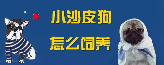 小沙皮狗怎么饲养 | 宠物病虫害防治