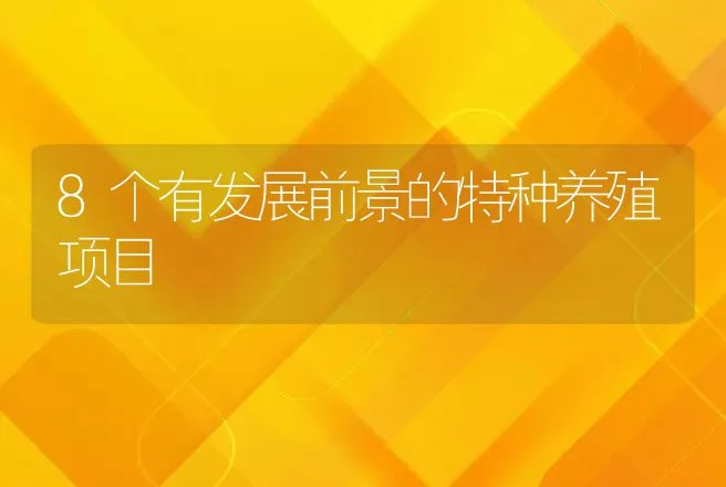 8个有发展前景的特种养殖项目 | 动物养殖