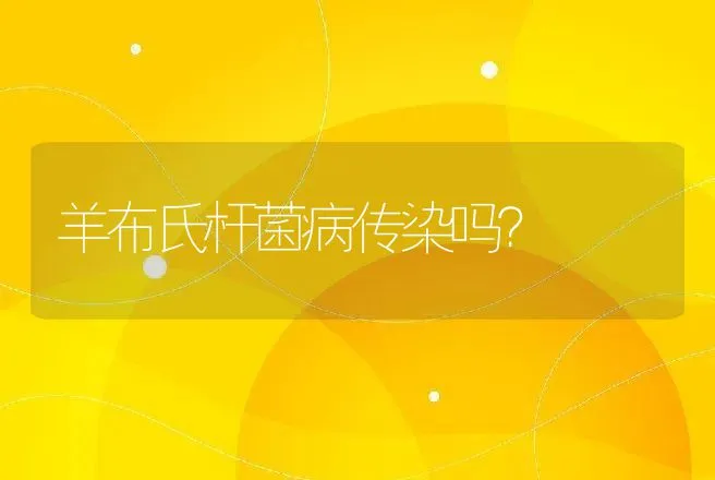 羊布氏杆菌病传染吗？ | 家畜养殖