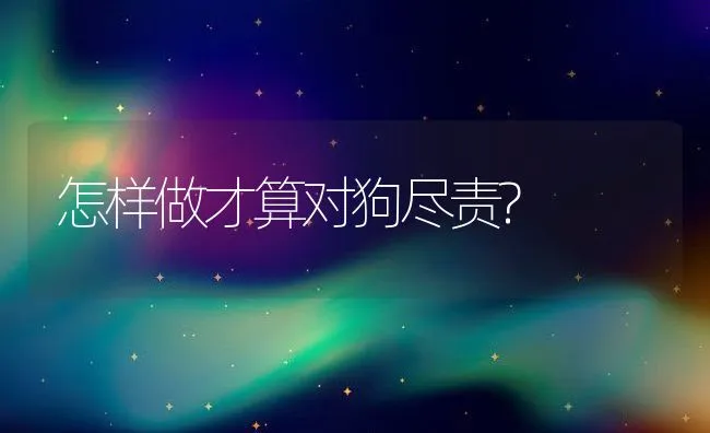 怎样做才算对狗尽责? | 宠物猫