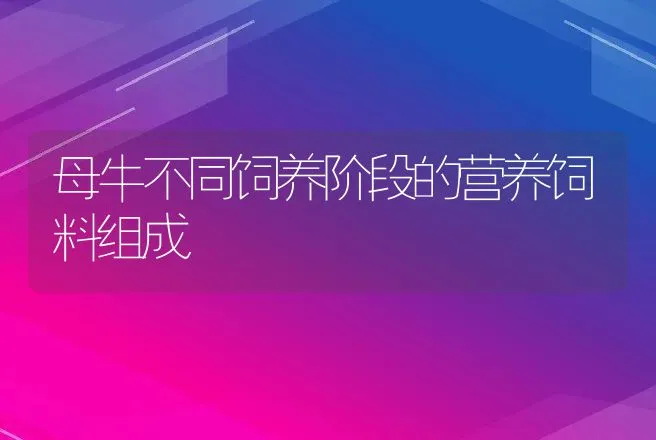 母牛不同饲养阶段的营养饲料组成 | 家畜养殖