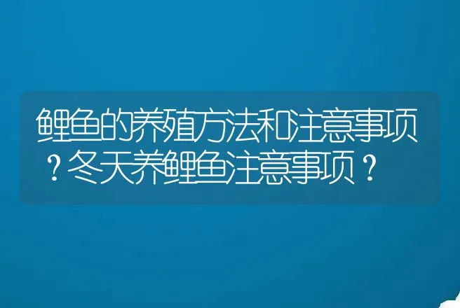 鲤鱼的养殖方法和注意事项？冬天养鲤鱼注意事项？ | 水产知识