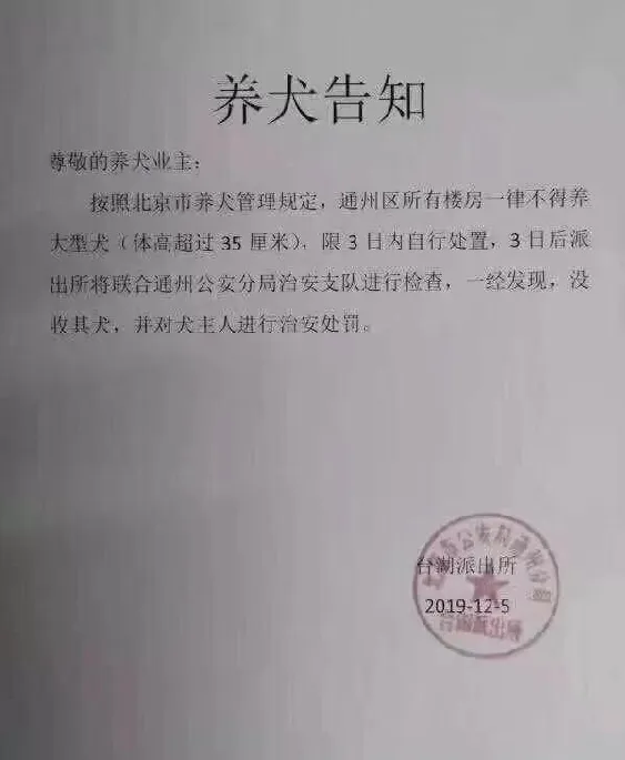 北京通州出台养犬条例，朴树：“没有狗的家是不完整的” | 宠物新闻资讯