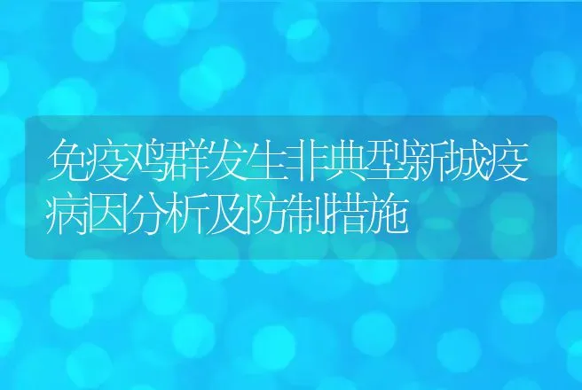 免疫鸡群发生非典型新城疫病因分析及防制措施 | 动物养殖