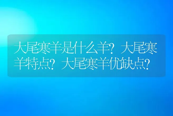 大尾寒羊是什么羊？大尾寒羊特点？大尾寒羊优缺点？ | 家畜养殖