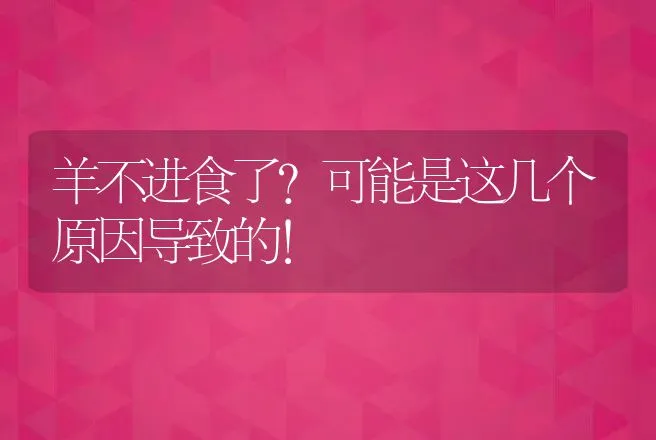 羊不进食了？可能是这几个原因导致的！ | 家畜养殖