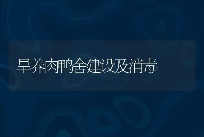 旱养肉鸭舍建设及消毒 | 动物养殖