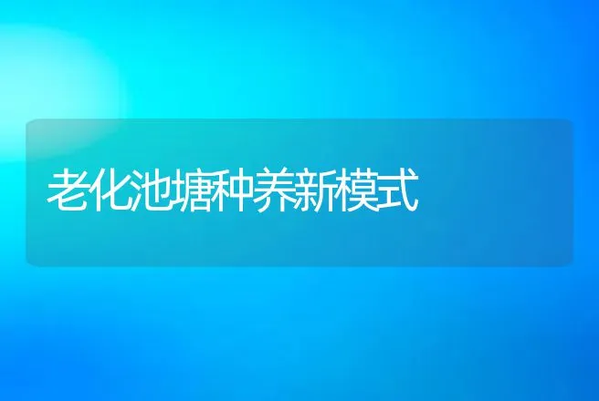 老化池塘种养新模式 | 动物养殖