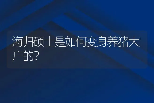 海归硕士是如何变身养猪大户的？ | 养殖致富