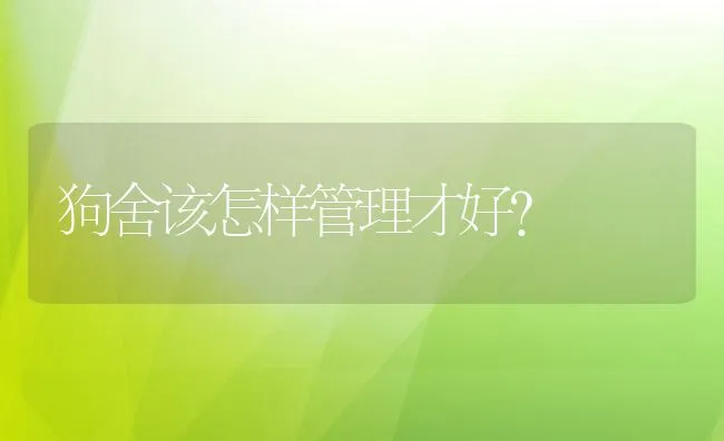 狗舍该怎样管理才好? | 宠物病虫害