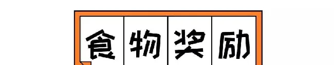 好吓人！我的狗为什么总是冲着空地叫！？ | 宠物狗饲养