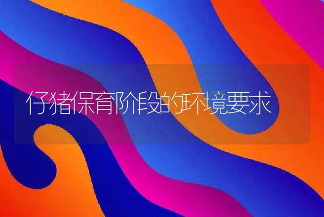 仔猪保育阶段的环境要求 | 动物养殖