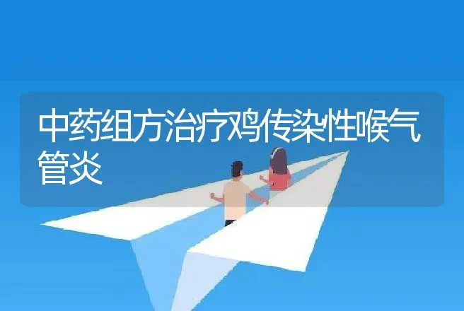 中药组方治疗鸡传染性喉气管炎 | 动物养殖