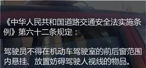 副驾驶不是谁都能坐，宠物坐罚200扣2分 | 宠物政策法规