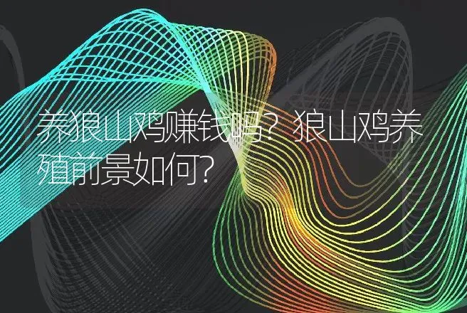 养狼山鸡赚钱吗？狼山鸡养殖前景如何？ | 养殖致富