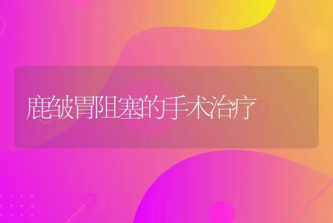 鹿皱胃阻塞的手术治疗 | 动物养殖