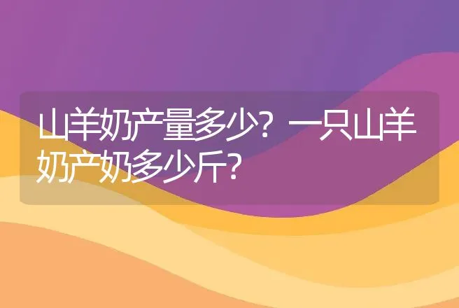 松香黄鸭是什么鸭？松香黄鸭生产性能？ | 动物养殖