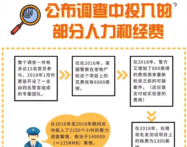 4年杀500只猫，并残忍分尸，政府花费125万捉拿真凶.... | 宠物新闻资讯