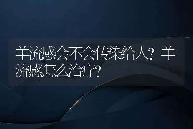 羊流感会不会传染给人？羊流感怎么治疗？ | 兽医知识大全