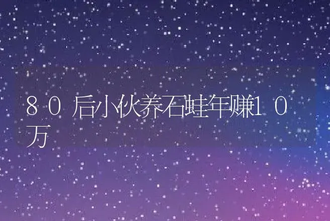 80后小伙养石蛙年赚10万 | 养殖致富