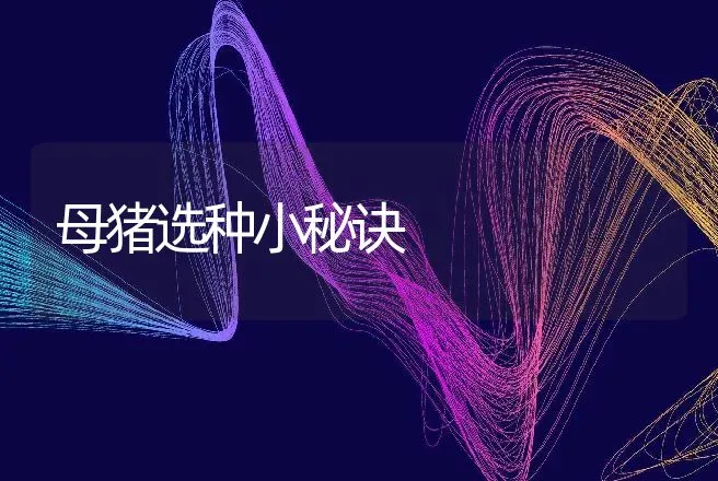 母猪选种小秘诀 | 动物养殖