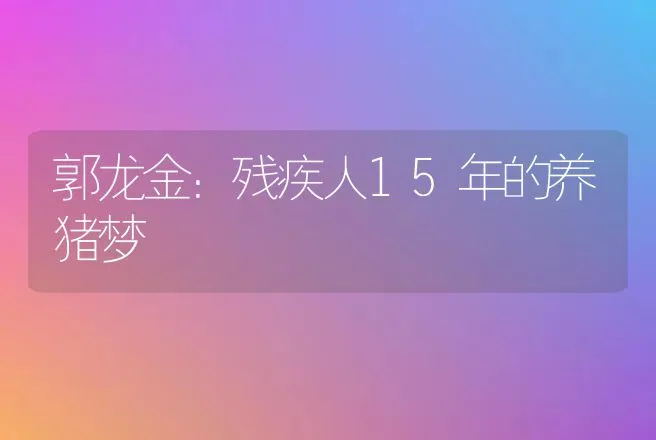 郭龙金：残疾人15年的养猪梦 | 养殖致富