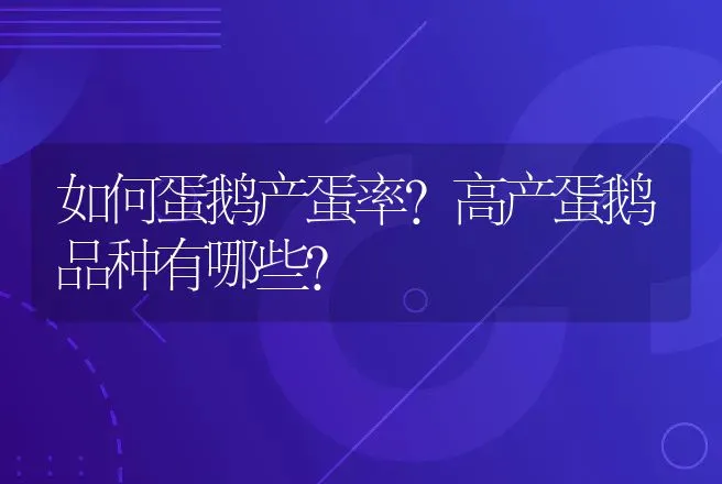 竹鼠繁育需要注意什么？ | 动物养殖