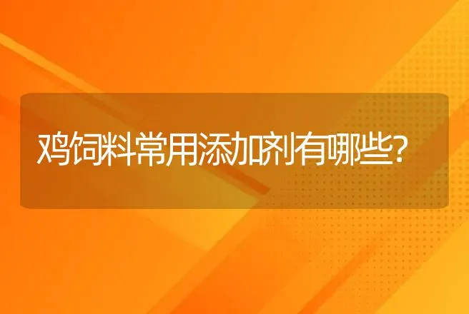 鸡饲料常用添加剂有哪些？ | 动物养殖