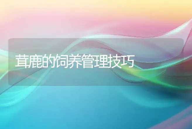 茸鹿的饲养管理技巧 | 动物养殖