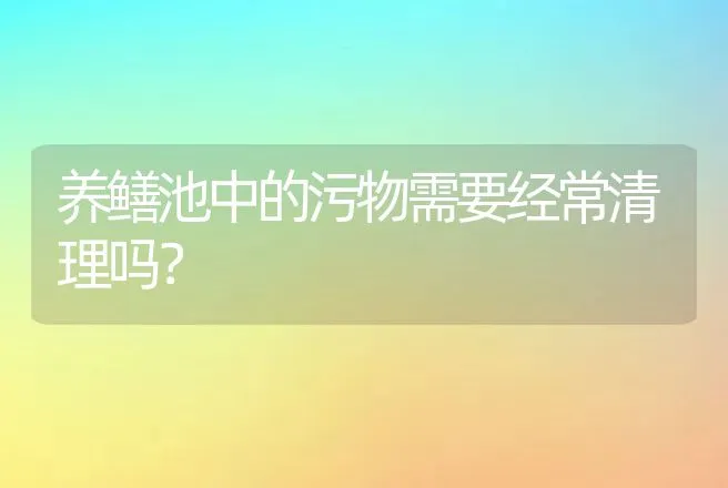 养鳝池中的污物需要经常清理吗？ | 动物养殖