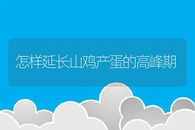 怎样延长山鸡产蛋的高峰期 | 动物养殖