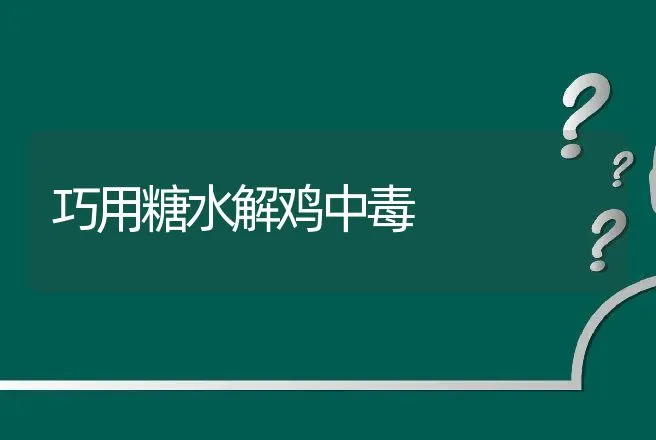 巧用糖水解鸡中毒 | 动物养殖