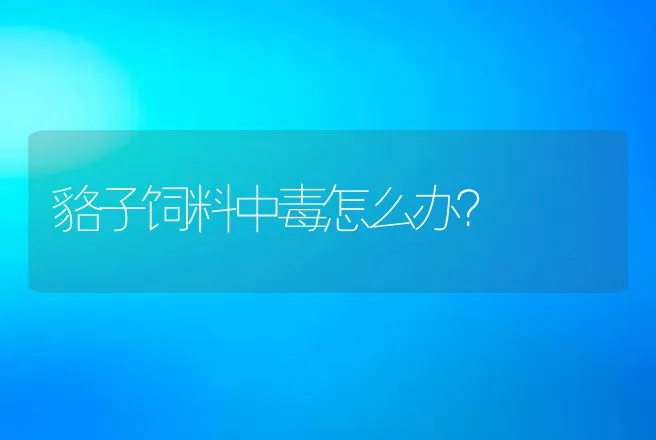 貉子饲料中毒怎么办？ | 动物养殖