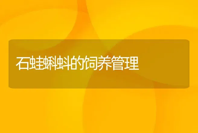 石蛙蝌蚪的饲养管理 | 特种养殖