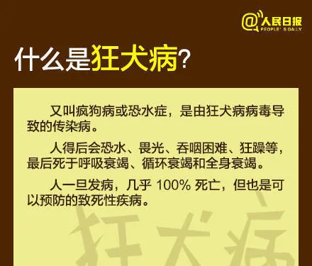 芜湖6岁男童被狗咬身亡获赔78万，母亲泣不成声：管好自家的狗 | 宠物新闻资讯