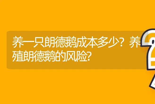 导致蛋鸡脱肛的原因及解决办法 | 兽医知识大全