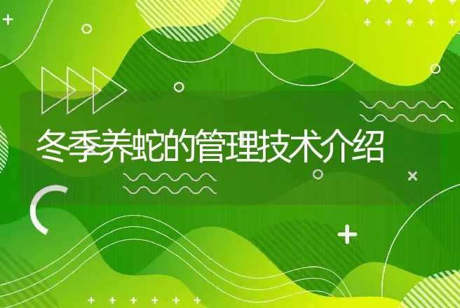 冬季养蛇的管理技术介绍 | 特种养殖