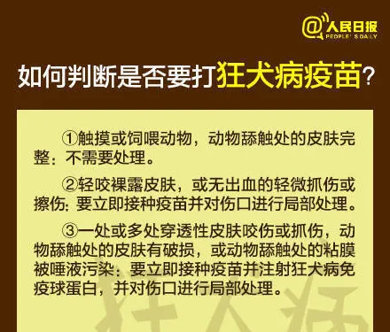 芜湖6岁男童被狗咬身亡获赔78万，母亲泣不成声：管好自家的狗 | 宠物新闻资讯