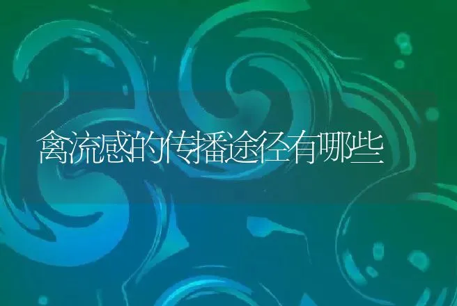 禽流感的传播途径有哪些 | 兽医知识大全