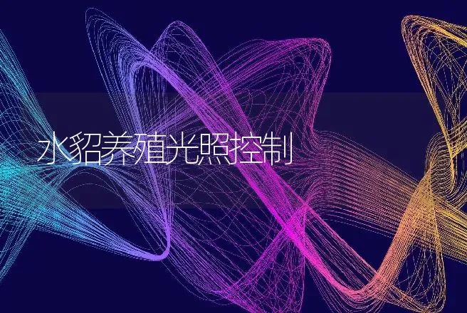 水貂养殖光照控制 | 动物养殖