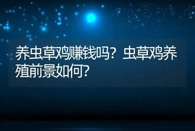 养虫草鸡赚钱吗？虫草鸡养殖前景如何？ | 养殖致富