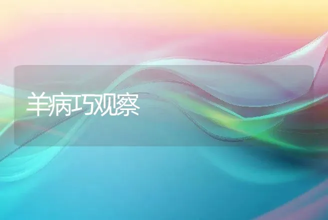 羊病巧观察 | 动物养殖