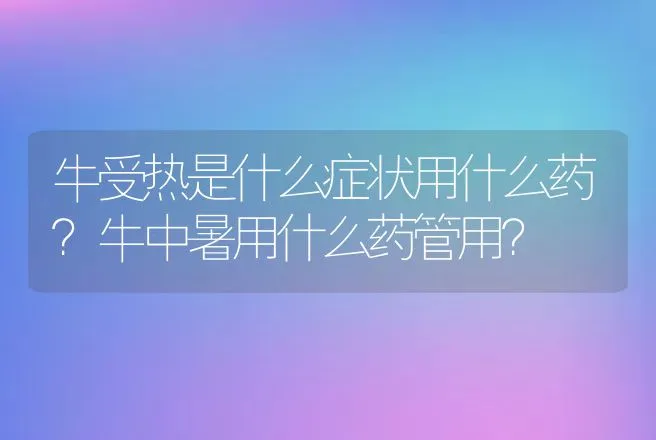 牛受热是什么症状用什么药？牛中暑用什么药管用？ | 兽医知识大全