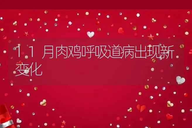 11月肉鸡呼吸道病出现新变化 | 动物养殖