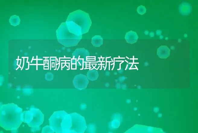 奶牛酮病的最新疗法 | 动物养殖